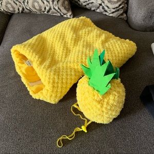 PET pineapple costume with matching head piece